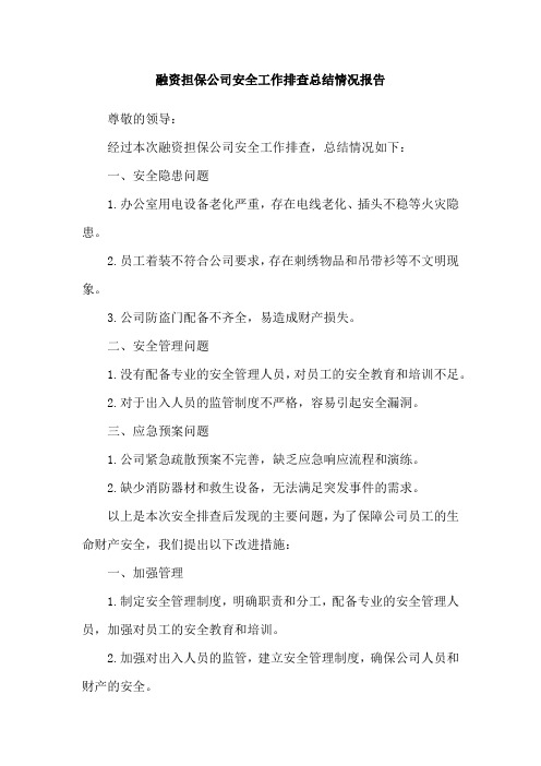 融资担保公司安全工作排查总结情况报告