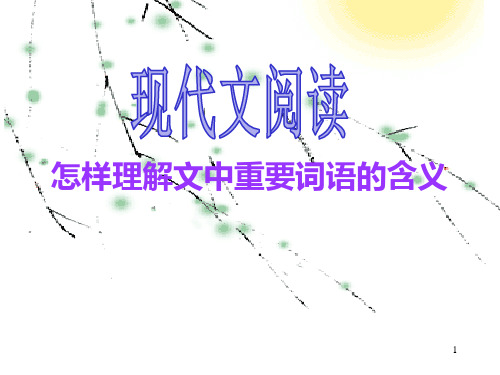 高考一轮复习《现代文阅读-怎样理解文中重要词语的含义》课件 (49张PPT)