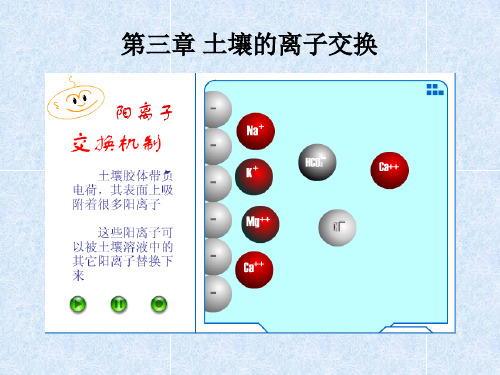 第三章 土壤的离子交换