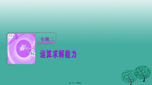 高考数学二轮复习第三部分能力篇专题二运算求解能力课件理