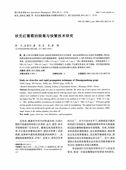 状元红葡萄的脱毒与快繁技术研究