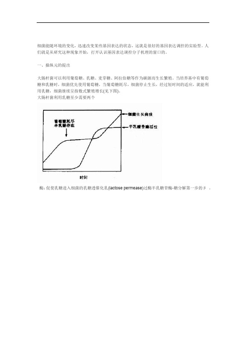 原核基因表达调控综述