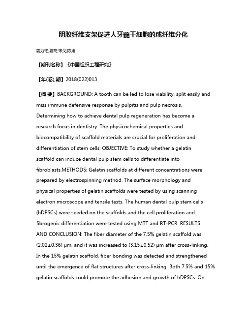 明胶纤维支架促进人牙髓干细胞的成纤维分化