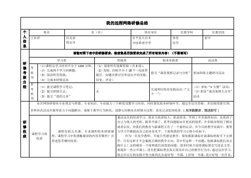 2013年国培网络研修总结模版(通用版)(8.20)