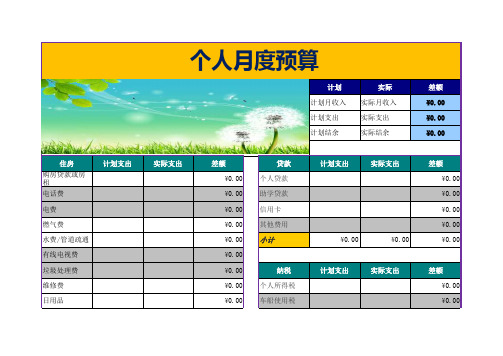 Excel表格模板：个人月度预算模板(自动统计,项目颜色区分,美观大方