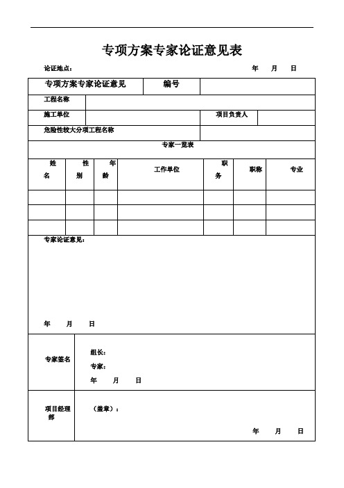 专项方案专家论证意见表