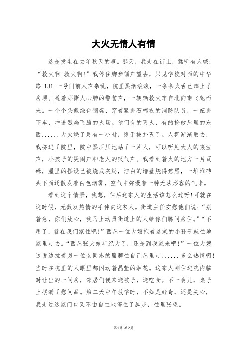 大火无情人有情_三年级作文