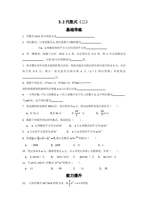 北师大版七年级数学上册 3 2代数式(第二课时)  同步导练(含答案)