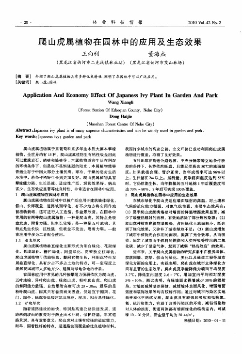 爬山虎属植物在园林中的应用及生态效果