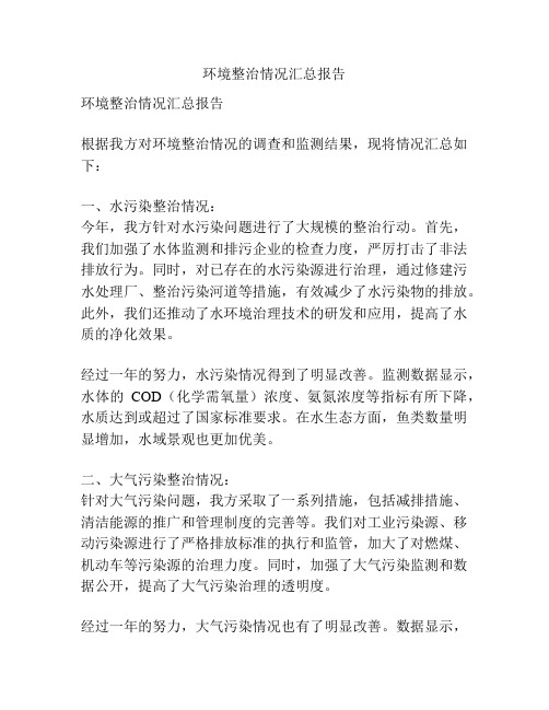 环境整治情况汇总报告