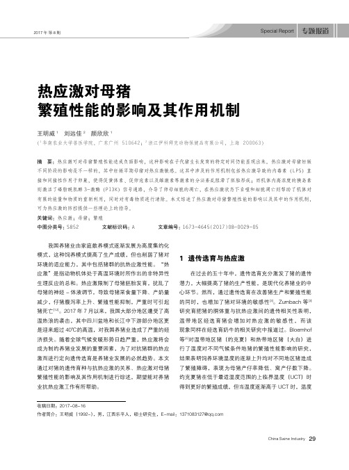 热应激对母猪繁殖性能的影响及其作用机制