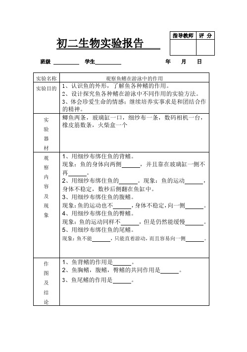 初二生物实验报告