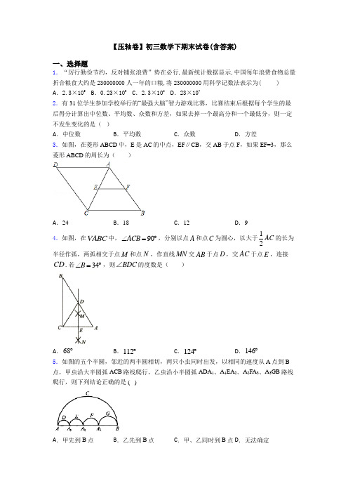 【压轴卷】初三数学下期末试卷(含答案)