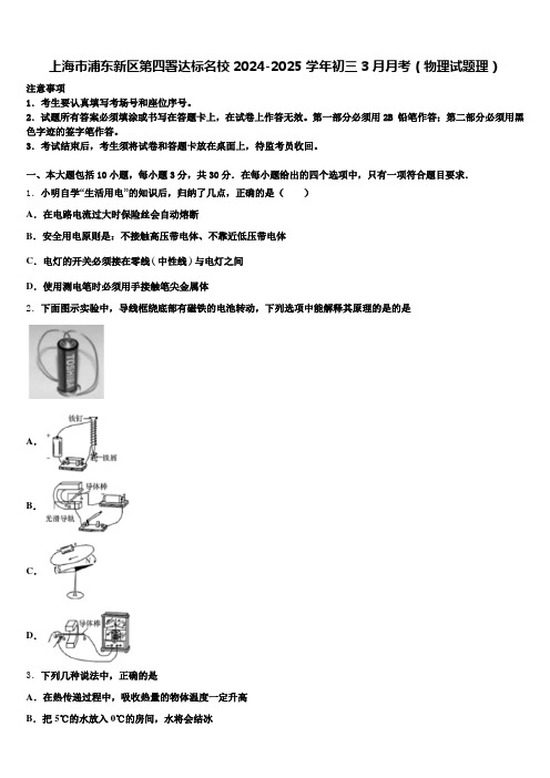 上海市浦东新区第四署达标名校2024-2025学年初三3月月考(物理试题理)含解析