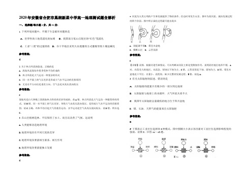 2020年安徽省合肥市巢湖新星中学高一地理测试题含解析