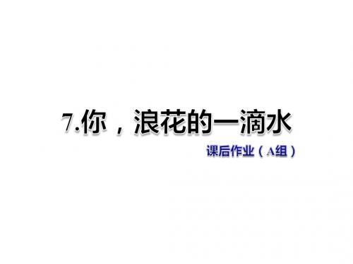 六年级下册语文课件-7.你,浪花的一滴水 课后作业(A组)北师大版 (共7张PPT)