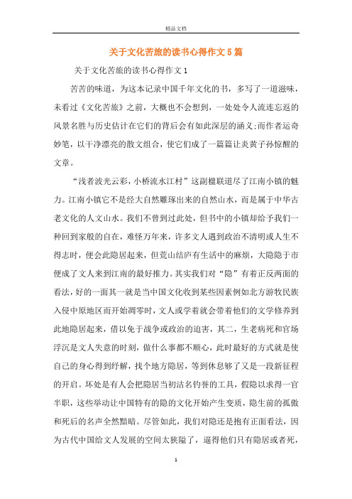 关于文化苦旅的读书心得作文5篇