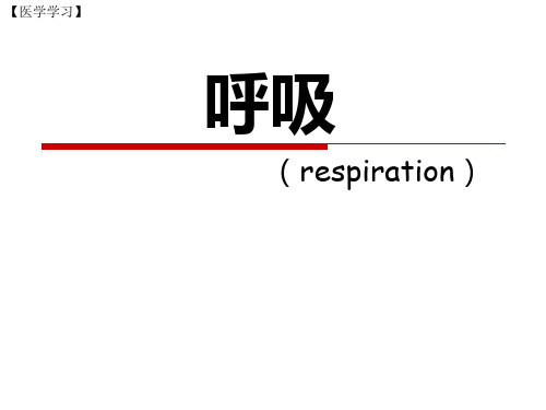 【医学学习】呼吸-肺通气