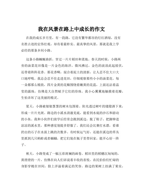 我在风景在路上中成长的作文