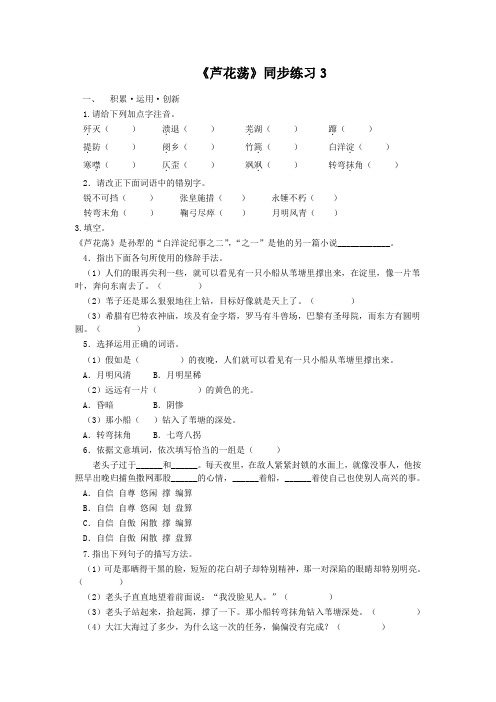 《芦花荡》同步练习3