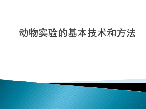 动物实验的基本操作方法PPT课件