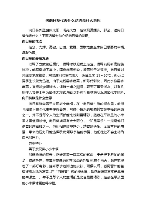 送向日葵代表什么花语是什么意思