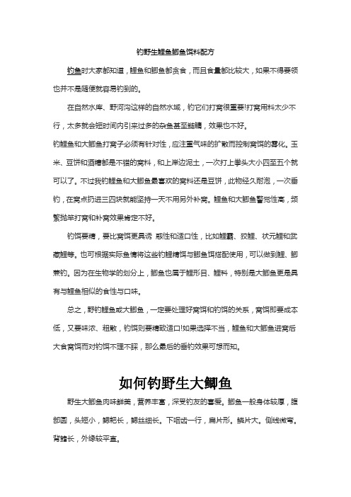 钓野生鲤鱼鲫鱼