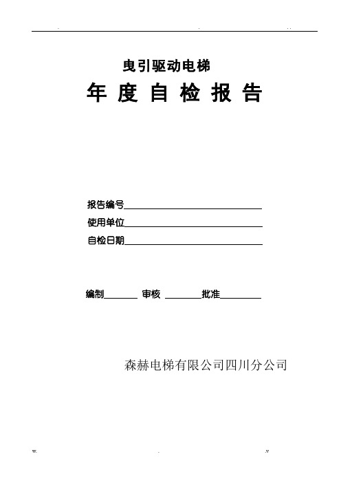 电梯年检自检报告