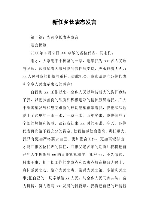 新任乡长表态发言