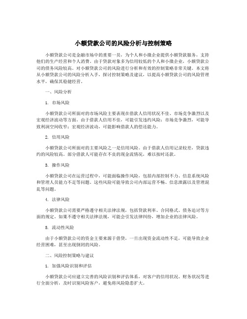 小额贷款公司的风险分析与控制策略