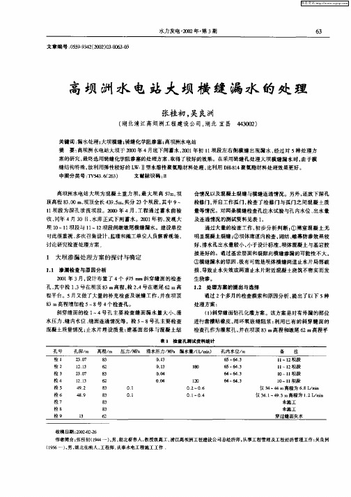 高坝洲水电站大坝横缝漏水的处理