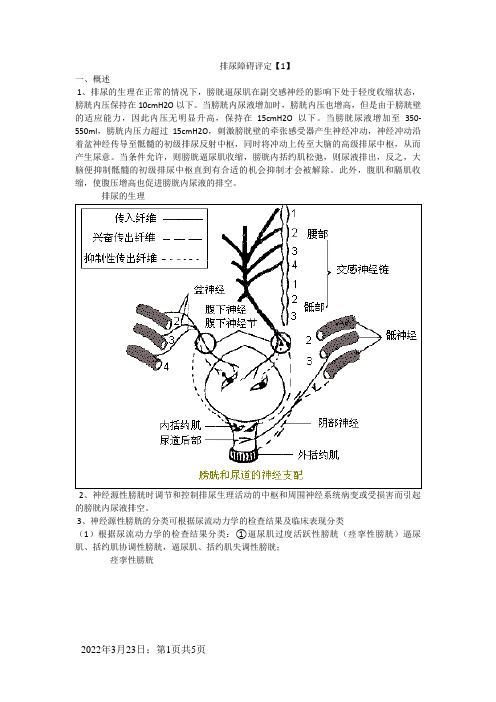 排尿障碍评定