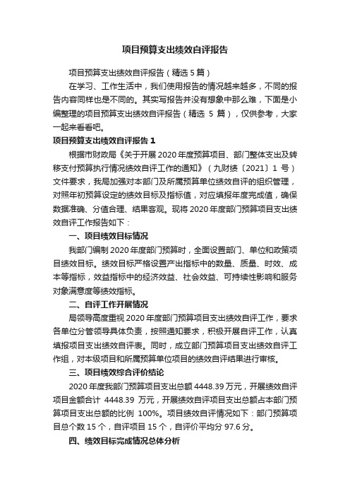 项目预算支出绩效自评报告（精选5篇）