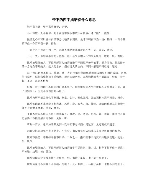 带不的四字成语有什么意思