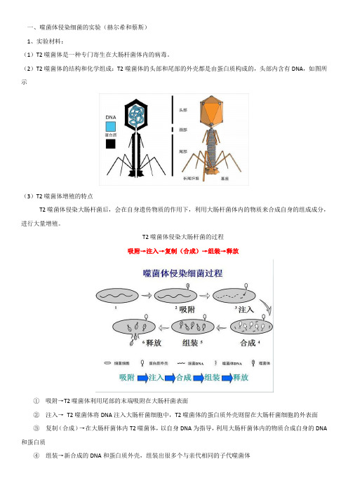 高中生物体外转换实验