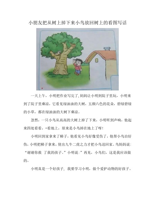 小朋友把从树上掉下来小鸟放回树上的看图写话