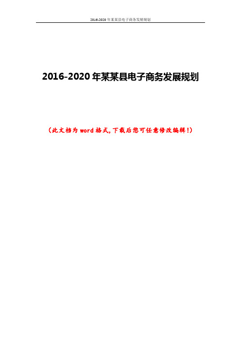 2016-2020年某某县电子商务发展规划