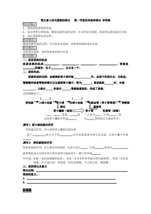 尿的形成和排出导学案