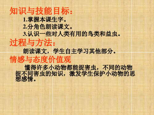 人教新课标一年级语文下册《30棉花姑娘》课件