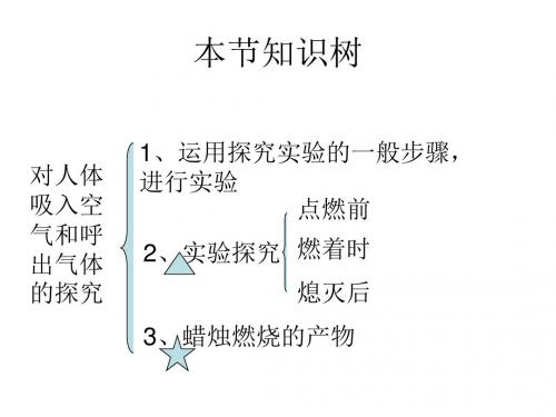 课题2 对人体吸入气体和呼出的气体的探究