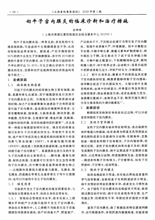 奶牛子宫内膜炎的临床诊断和治疗措施