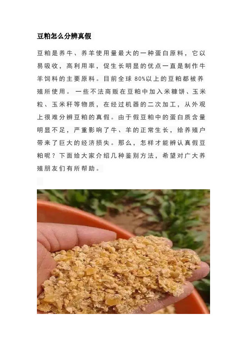 豆粕怎么分辨真假