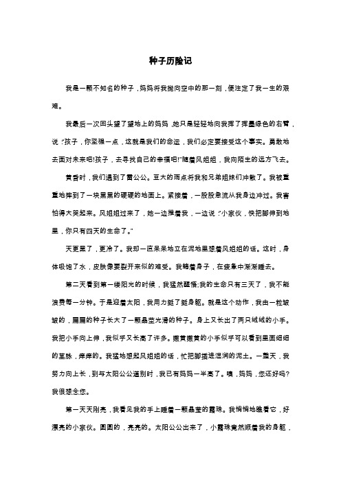 种子历险记_五年级童话寓言