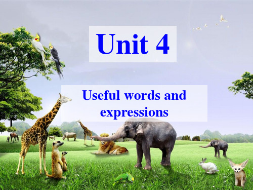 Unit4 Useful words and expressions