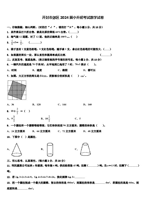 开封市郊区2024届小升初考试数学试卷含解析