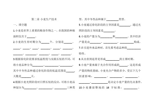 小麦填空、判断、简答