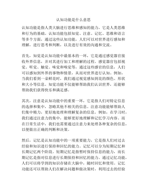 认知功能是什么意思