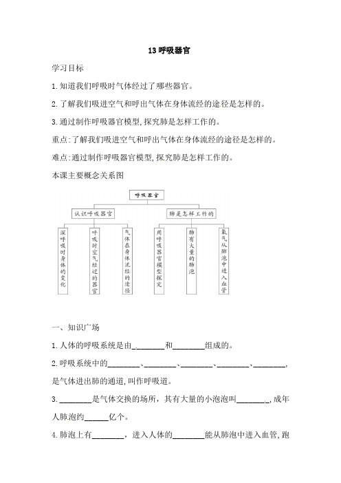 三年级上册科学一课一练-13 呼吸器官  人教版(含答案)