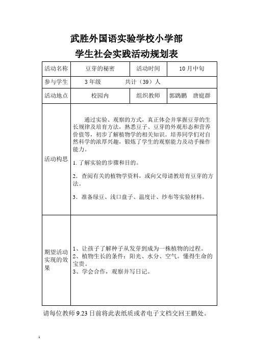 小学生社会实践活动规划表