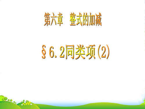 青岛版七年上册数学6.2《同类项(2) 》课件